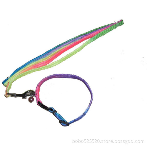 cheap pet collar and leash